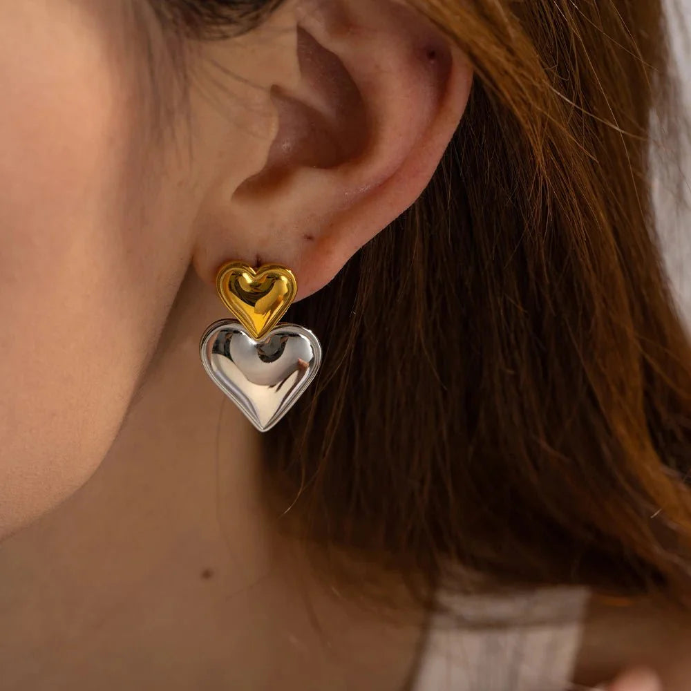 Two Tone Accented Heart Earrings - Aryomi