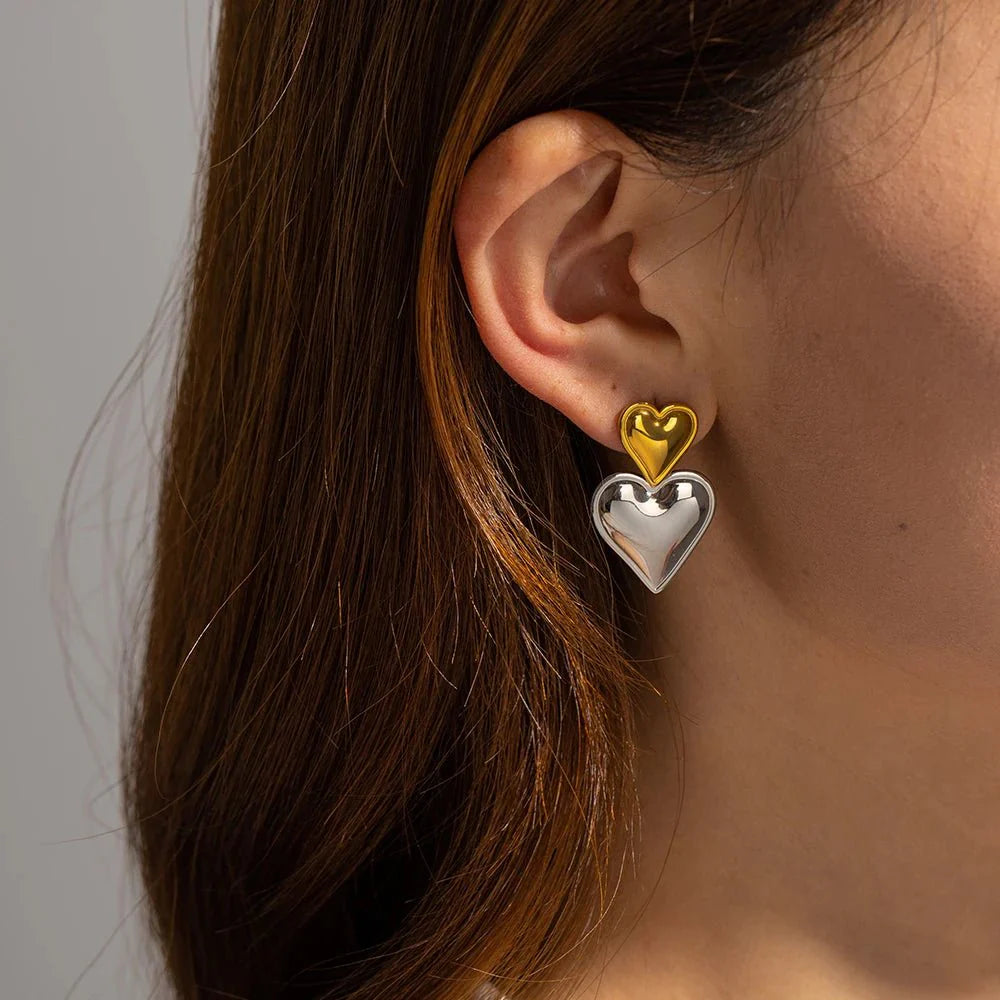 Two Tone Accented Heart Earrings - Aryomi